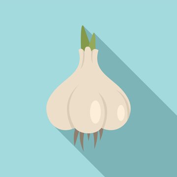 Eco garlic icon. Flat illustration of eco garlic vector icon for web design