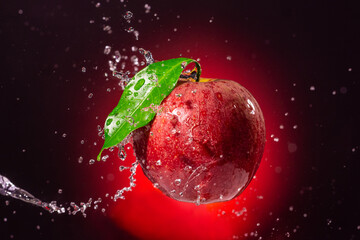 Fototapete bei efototapeten.de bestellen   