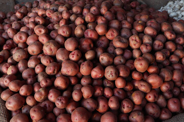 closeup potato background  