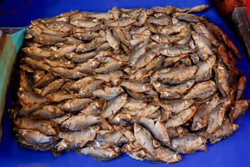 small dry fish isolated