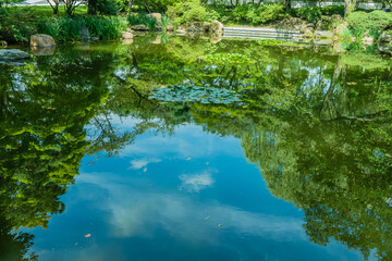 Reflection of trees and cloudy blue sky in water of pond