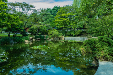 Fototapeta premium Landscape of pond in rural public park