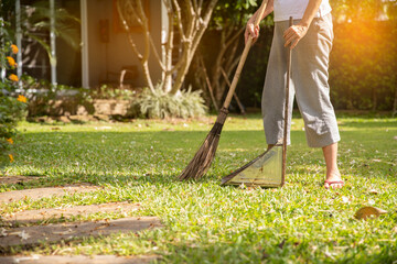 A woman  was sweeping dried  leaf on the lawn  with a broom  on morning at home