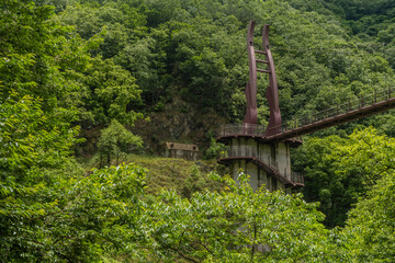 Suspension footbridge bridge over treetops in forest.