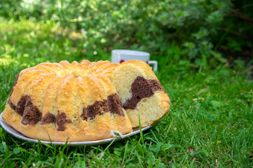 Gugelhupf in green grass, very tasty edible two-colored Czech sweet cake called babovka, ready to eat, daisy flower, tea break