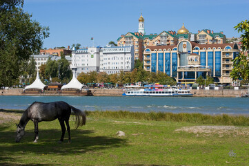 Rostov-on-Don - a horse grazes on the bank of the Don river.