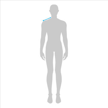 Men to do shoulder measurement fashion Illustration for size chart. 7.5 head size boy for site or online shop. Human body infographic template for clothes. 