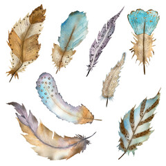 Watercolor illustration of a set of blue and brown feathers. Drawn by hand with watercolors and is suitable for all types of design and printing.