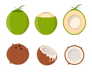 Set of Coconut Vector Design. Flat Design Illustration.