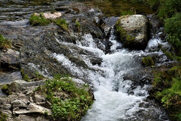 Górski potok