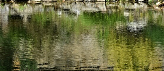 Górski staw  © merko