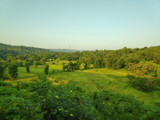 landscape with green field and blue sky