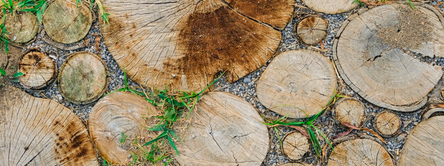 Background of dry chopped wood logs. Stumps background. Wood. Green grass background. Copy space banner