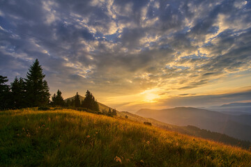 Fototapeta na wymiar Beautiful Sunrise. Summer landscape in the mountains.