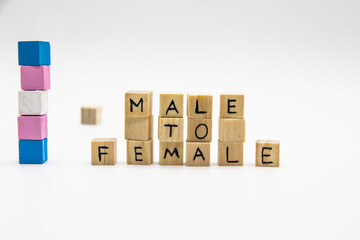 Male to female lettering made of wooden cubes and transgender flag on white background. Conceptual illustration lesbian, gay, bisexual, and transgender