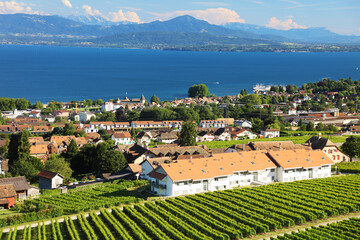 Panoramic view of the village of Mont-sur-Rolle and Rolle in Switzerland