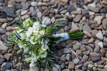 white flowers on the rocks