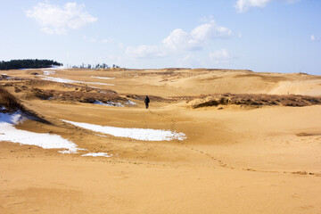 Dunes, sea, snow, winter, 鳥取砂丘, 冬, 日本海
