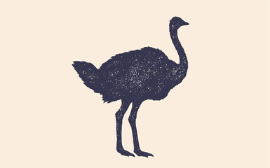 Ostrich. Vintage retro print, black white ostrich drawing, grunge old school style. Isolated black silhouette ostrich on white background. Side view profile. Vector Illustration