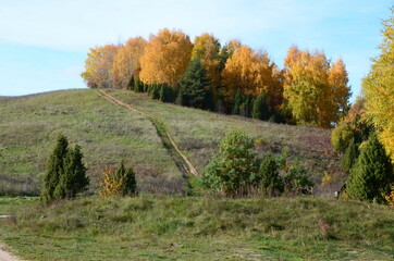 Fototapeta premium road on autumn hill