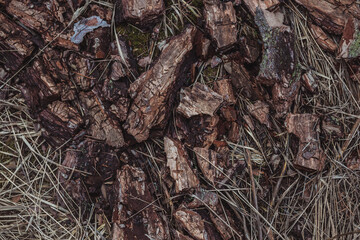 Textured background made of pine cork pieces