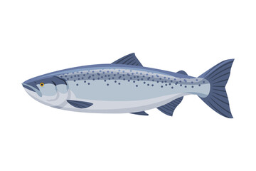 Salmon Fish, Fresh Aquatic Sea Fish Species Cartoon Vector Illustration