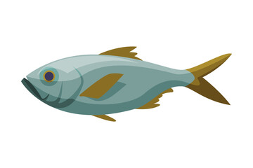 Bream Freshwater Fish, Fresh Aquatic Fish Species Cartoon Vector Illustration
