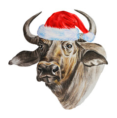 Horned bull wearing a Santa Claus hat. Livestock. Watercolor. Hand drawn illustrations on white background.