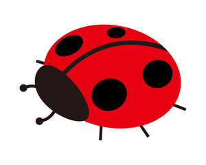 カラフルなてんとう虫のベクターイラスト