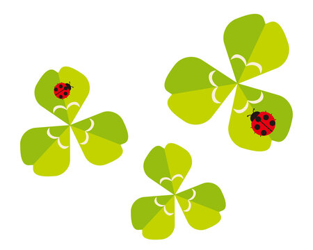 129 Best 三つ葉のクローバー Images Stock Photos Vectors Adobe Stock 129 Best 三つ葉のクローバー Images Stock Photos Vectors Adobe Stock