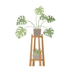 Trendy nordic home decor with plants in pots on shelf.