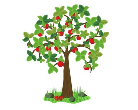 Apple tree on grass. Vector design Illustration.