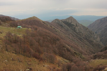 Fototapeta premium Central Balkan national park in Bulgaria