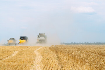 Combine harvester harvests ripe wheat. agriculture.