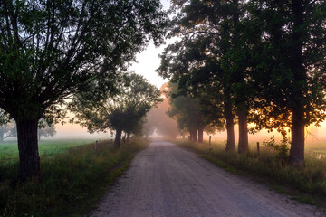 Fototapeta na wymiar Letni poranek z mgłami w Dolinie Narwi, Podlasie, Polska