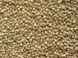 Beige color raw whole Quinoa seeds