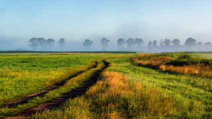 Letni poranek z mgłami w Dolinie Narwi, Podlasie, Polska © podlaski49