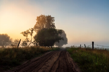 Fototapeta premium Letni poranek z mgłami w Dolinie Narwi, Podlasie, Polska