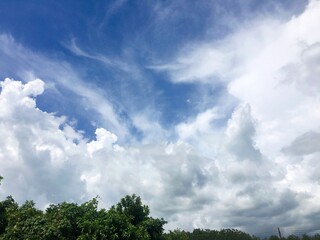 Obraz premium clouds in the blue sky and tree