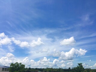 background nature sky and tree