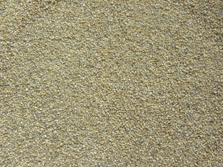 Gray and yellow color raw cracked Pearl millet or Bajra dalia