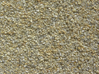 Gray and yellow color raw cracked Pearl millet or Bajra dalia