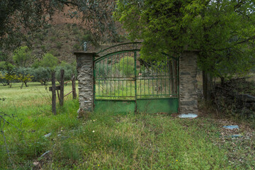 green metal gate in the field