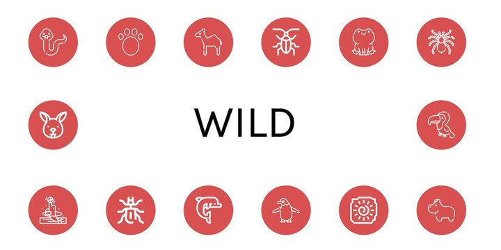 Set of wild icons