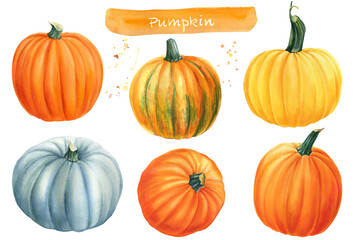Set of pumpkins on isolated white background, watercolor illustration, hand drawing