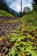 path in the mountains