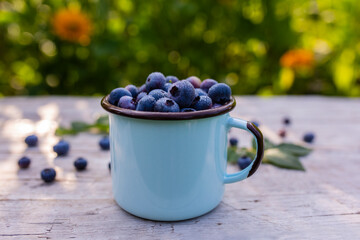 Fresh blueberries in a mug on wooden table.