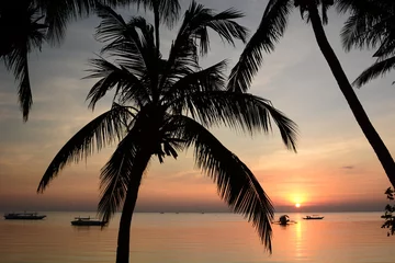 Photo sur Plexiglas Plage blanche de Boracay Coucher de soleil tropical. Plage blanche. L& 39 île de Boracay. Visayas occidentales. Philippines