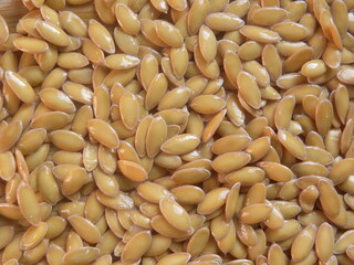 Brown color raw seeds of Sun melon