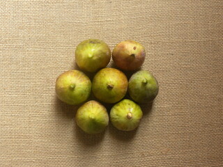 Green color whole ripe Indian fig fruits or Ficus racemosa